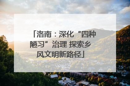 洛南：深化“四种陋习”治理 探索乡风文明新路径