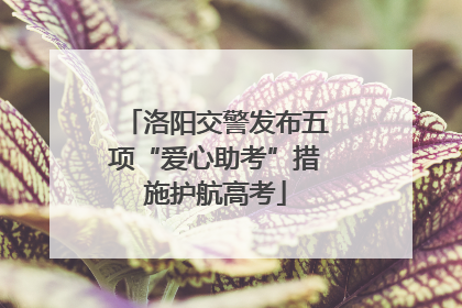 洛阳交警发布五项“爱心助考”措施护航高考
