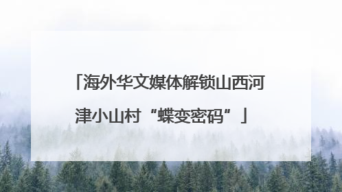 海外华文媒体解锁山西河津小山村“蝶变密码”