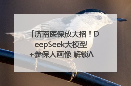 济南医保放大招！DeepSeek大模型+参保人画像 解锁AI医保管家新体验