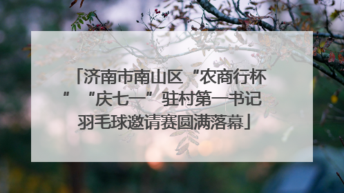 济南市南山区“农商行杯”“庆七一”驻村第一书记 羽毛球邀请赛圆满落幕
