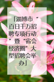 淄博市“百日千万招聘专项行动”暨“省会经济圈”大型招聘会举办