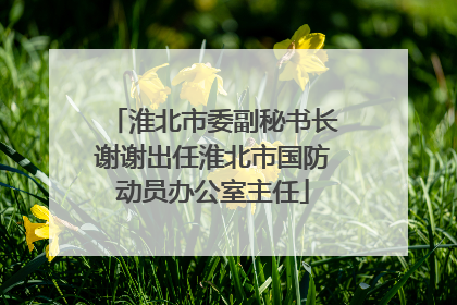 淮北市委副秘书长谢谢出任淮北市国防动员办公室主任