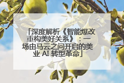 深度解析《智能爆改 重构美好关系》：一场由马云之问开启的美业 AI 转型革命