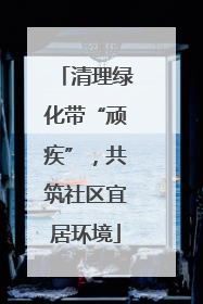 清理绿化带“顽疾”，共筑社区宜居环境