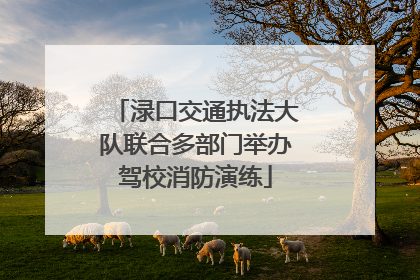 渌口交通执法大队联合多部门举办驾校消防演练