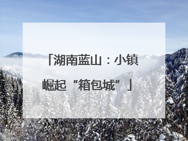 湖南蓝山：小镇崛起“箱包城”