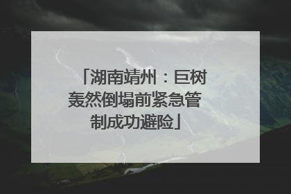 湖南靖州：巨树轰然倒塌前紧急管制成功避险