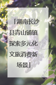 湖南长沙县青山铺镇探索多元化文旅消费新场景