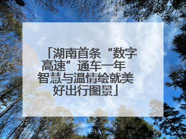 湖南首条“数字高速”通车一年 智慧与温情绘就美好出行图景