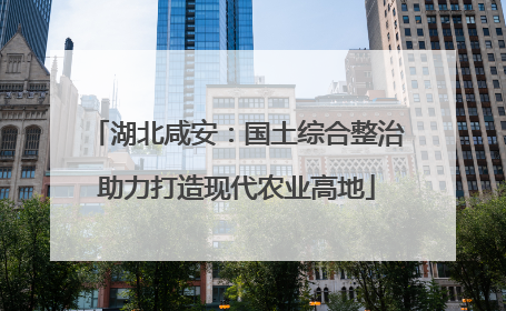 湖北咸安：国土综合整治助力打造现代农业高地