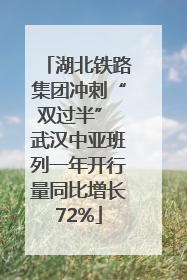 湖北铁路集团冲刺“双过半” 武汉中亚班列一年开行量同比增长72%