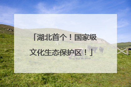 湖北首个！国家级文化生态保护区！
