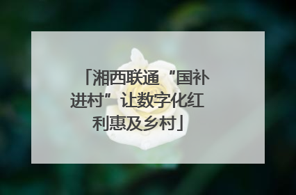 湘西联通“国补进村”让数字化红利惠及乡村