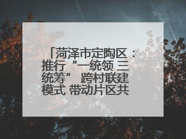 菏泽市定陶区：推行“一统领 三统筹” 跨村联建模式 带动片区共同富裕