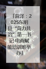 菏泽：2025东明县“菏力共治”第一书记·电商赋能培训班举办