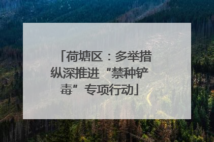 荷塘区：多举措纵深推进“禁种铲毒”专项行动