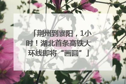 荆州到襄阳，1小时！湖北首条高铁大环线即将“画圆”