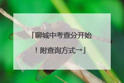 聊城中考查分开始！附查询方式→