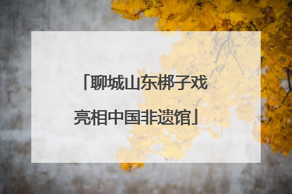 聊城山东梆子戏亮相中国非遗馆