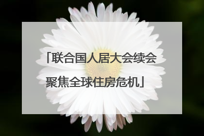 联合国人居大会续会聚焦全球住房危机