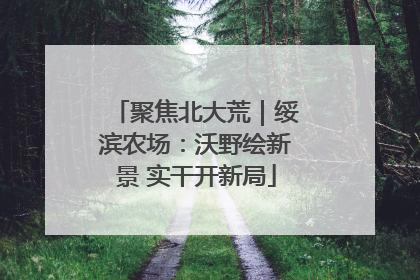 聚焦北大荒｜绥滨农场：沃野绘新景 实干开新局