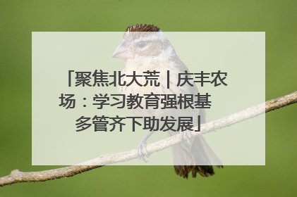 聚焦北大荒｜庆丰农场：学习教育强根基 多管齐下助发展
