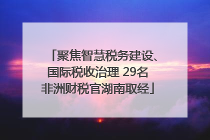 聚焦智慧税务建设、国际税收治理 29名非洲财税官湖南取经