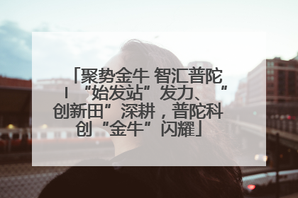 聚势金牛 智汇普陀〡“始发站”发力、“创新田”深耕，普陀科创“金牛”闪耀