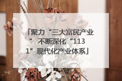 聚力“三大富民产业” 不断深化“1131”现代化产业体系