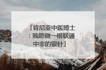 肯尼亚中医博士：我愿做一根联通中非的银针