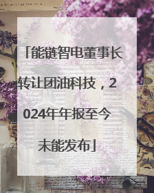 能链智电董事长转让团油科技，2024年年报至今未能发布