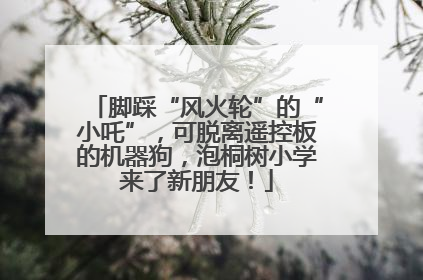 脚踩“风火轮”的“小吒”，可脱离遥控板的机器狗，泡桐树小学来了新朋友！