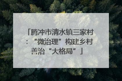 腾冲市清水镇三家村：“微治理”构建乡村善治“大格局”