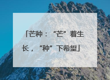 芒种：“芒”着生长，“种”下希望