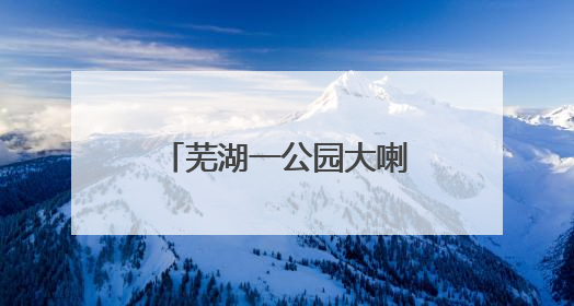 芜湖一公园大喇叭辱骂遛狗市民？真相来了……