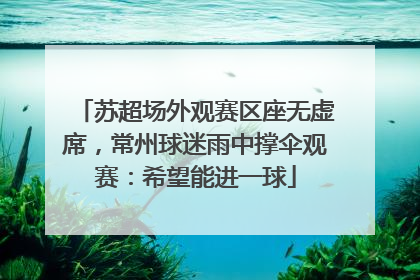 苏超场外观赛区座无虚席，常州球迷雨中撑伞观赛：希望能进一球