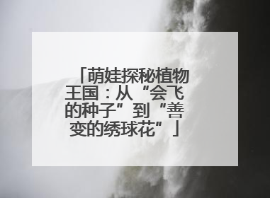 萌娃探秘植物王国：从“会飞的种子”到“善变的绣球花”