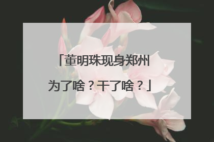 董明珠现身郑州 为了啥？干了啥？
