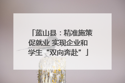 蓝山县：精准施策促就业 实现企业和学生“双向奔赴”