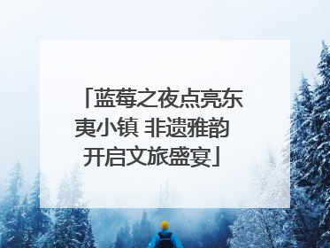蓝莓之夜点亮东夷小镇 非遗雅韵开启文旅盛宴