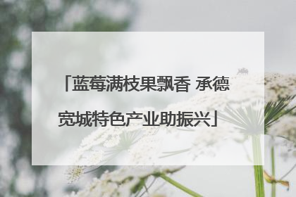 蓝莓满枝果飘香 承德宽城特色产业助振兴
