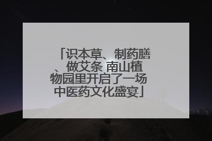 识本草、制药膳、做艾条 南山植物园里开启了一场中医药文化盛宴