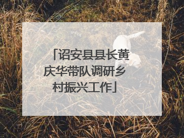 诏安县县长黄庆华带队调研乡村振兴工作