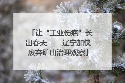 让“工业伤疤”长出春天——辽宁加快废弃矿山治理观察