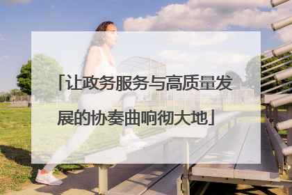 让政务服务与高质量发展的协奏曲响彻大地