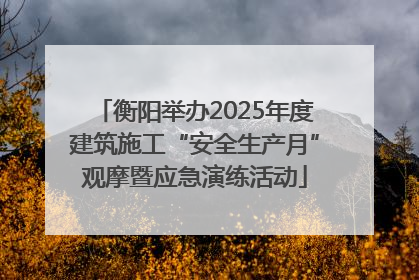 衡阳举办2025年度建筑施工“安全生产月”观摩暨应急演练活动