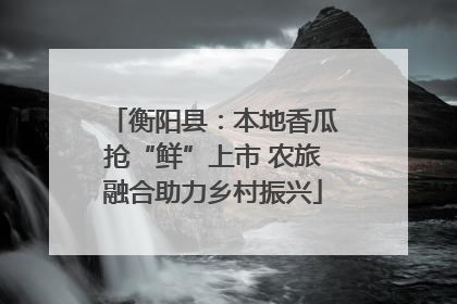 衡阳县：本地香瓜抢“鲜”上市 农旅融合助力乡村振兴