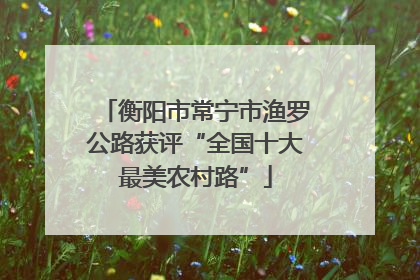 衡阳市常宁市渔罗公路获评“全国十大最美农村路”