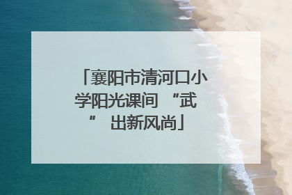 襄阳市清河口小学阳光课间 “武” 出新风尚